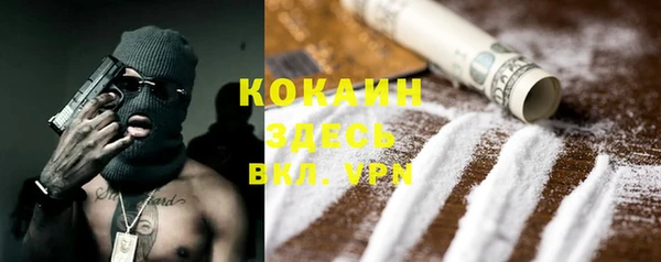 шишки Кукмор