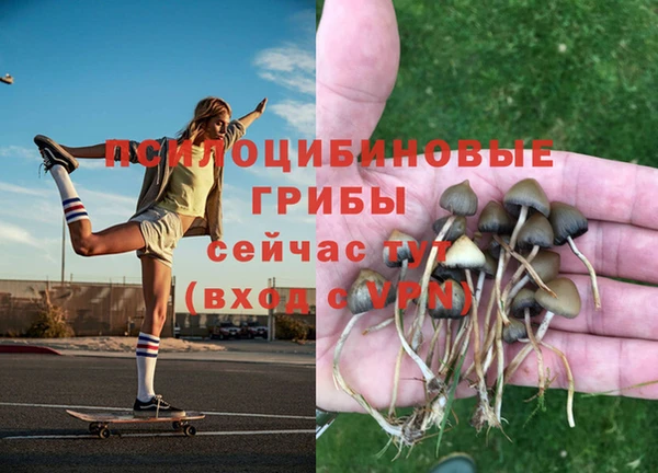 герыч Кулебаки