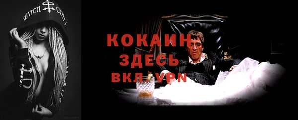 шишки Кукмор