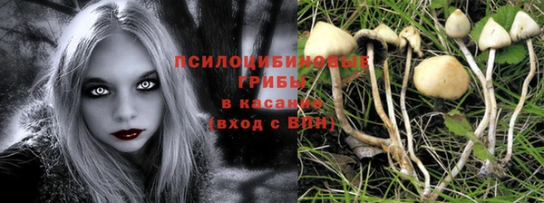 герыч Кулебаки