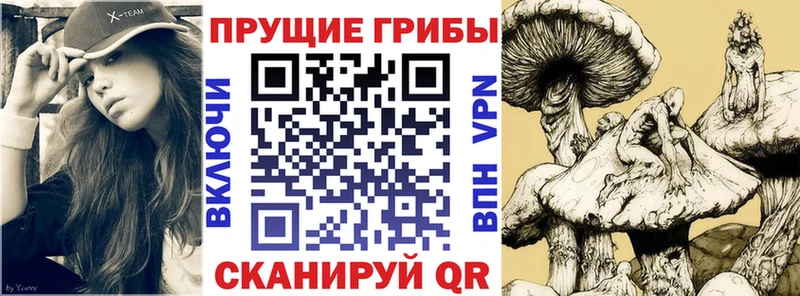 Галлюциногенные грибы Psilocybine cubensis  mega рабочий сайт  Элиста 