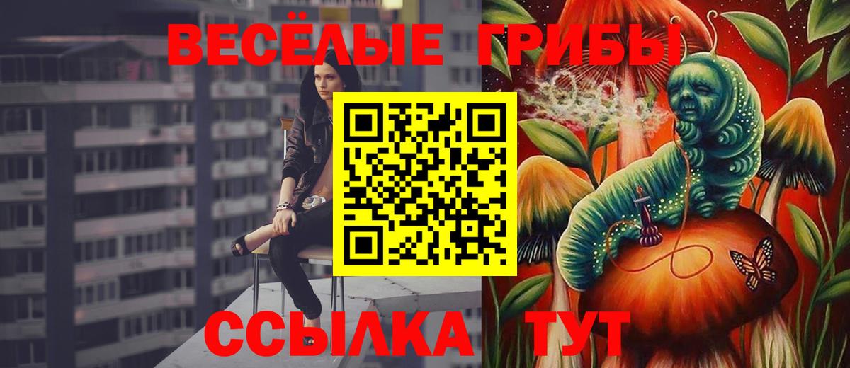 Элиста  Псилоцибиновые грибы Cubensis  Вход с VPN 